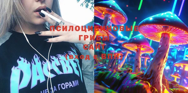 ПСИЛОЦИБИНОВЫЕ ГРИБЫ Ростов