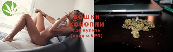 spice Рославль